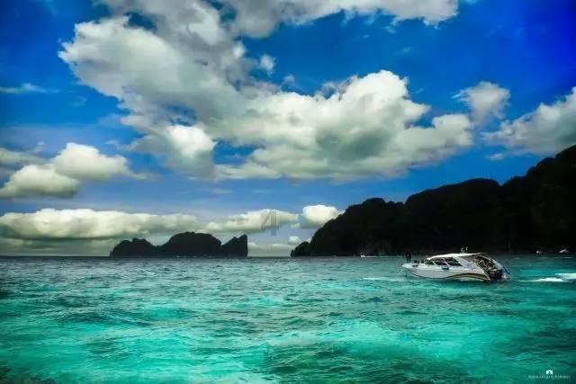 生化危机：浣熊市行动